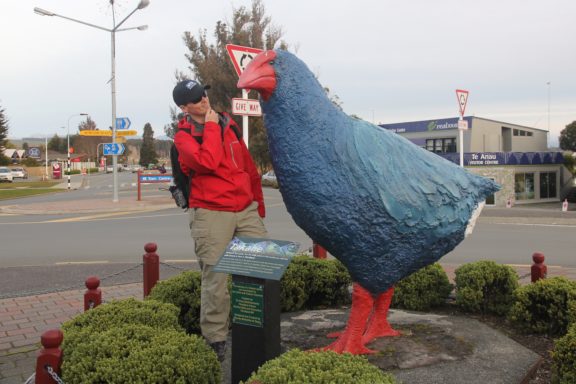 Takahe statue in the city center. 