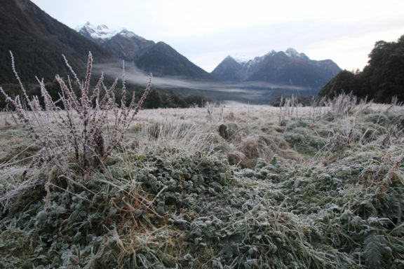 Frosty morning landscape along Milford Road