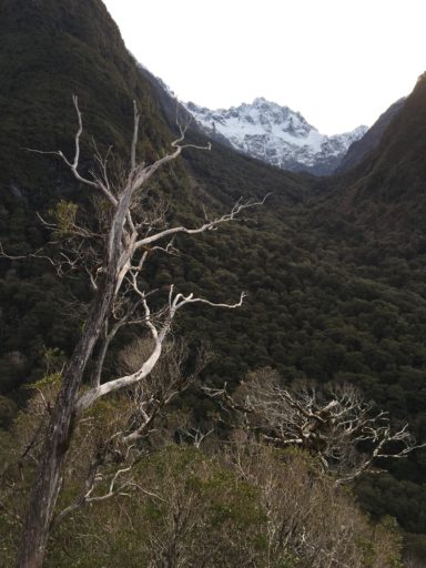 Along the trail