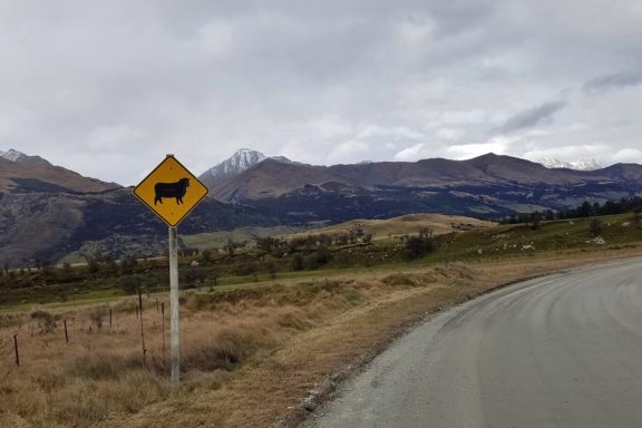 This sign seems redundant in Southern New Zealand